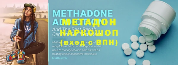 ГАЛЛЮЦИНОГЕННЫЕ ГРИБЫ Аркадак