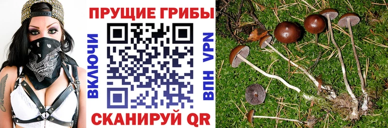 Галлюциногенные грибы MAGIC MUSHROOMS  Соль-Илецк 